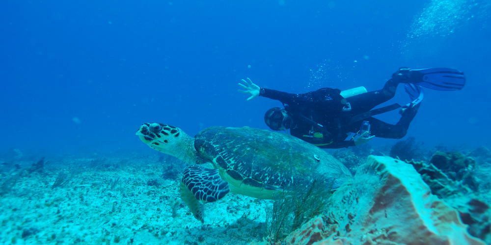 Yemaya Reefs, A Small Luxury Hotel Islas del Maíz Exterior foto